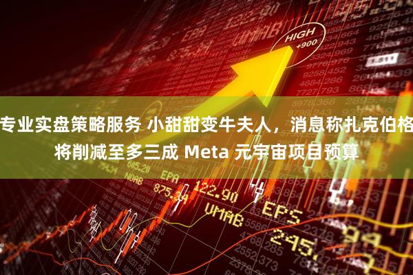 专业实盘策略服务 小甜甜变牛夫人，消息称扎克伯格将削减至多三成 Meta 元宇宙项目预算